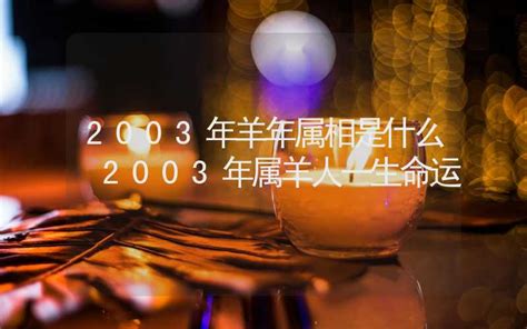 2003年是什么年